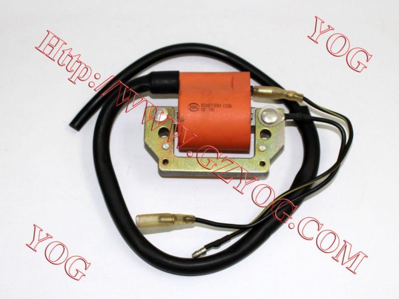 Motorcycle Spare Parts Motorcycle Ignition Coil for Bajaj Boxer, CB125 Ace, Gn125