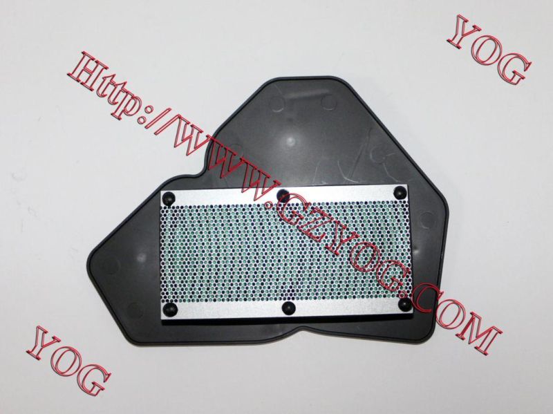 Motorcycle Parts Motorcycle Air Cleaner for Borss/Titan150