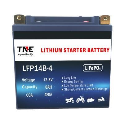 Rechargeable 12V 8ah 480CCA LiFePO4 Lithium Ion Motorcycle Battery Pack with BMS