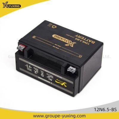 Motorcycle Battery (12N6.5-BS) for Motorcycle Accessories Motorcycle Parts