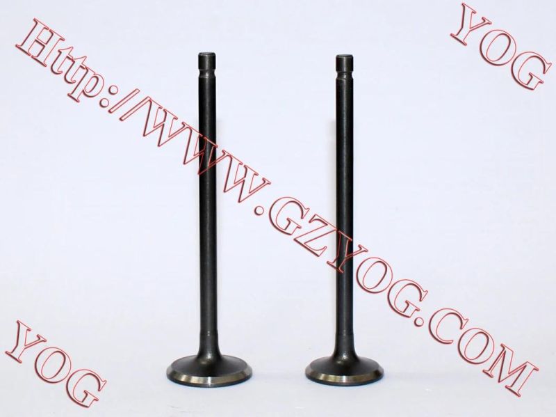 Motorcycle Spare Parts Engine Part Valve for Bajajpulsar135 Ugboss125 Shogun