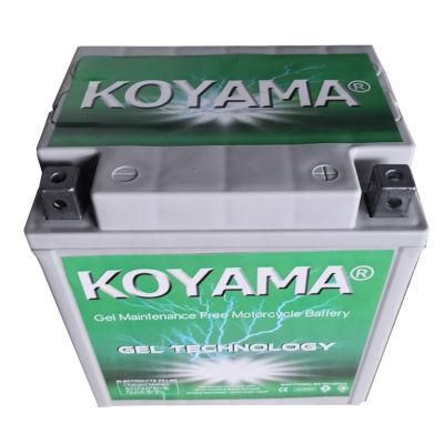 Yix30L-BS 12V30ah Sealed Maintenance Free Gel Motorcycle Battery