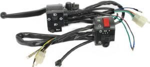 Motorcycle Parts Motorcycle Switch Gn Black