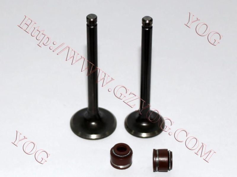 Yog Motorcycle Spare Parts Valve and Oil Seal for Tvs Star Bajaj Bm100esks An125