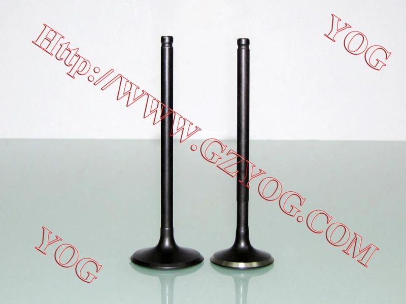 Yog Motorcycle Spare Parts Engine Parts Valve for Bajajbm100esks Titan150 C125