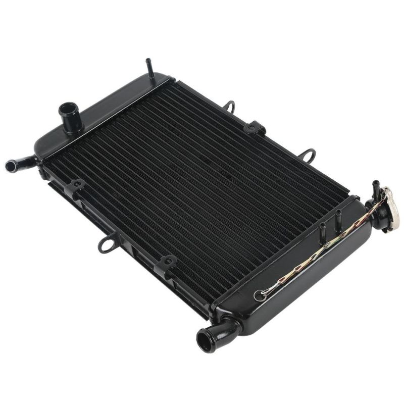 Xf-400 Motorcycle Radiator Cooler Cooling for YAMAHA Xj6 2009-2015