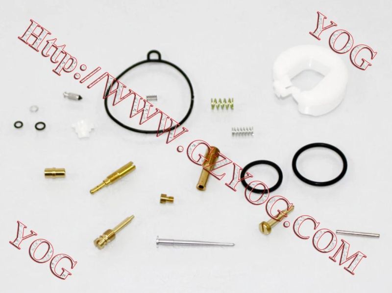 Motorcycle Parts Carburetor Repair Kit for Ax100 Dy100 Cg200