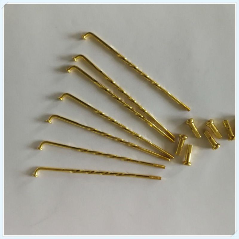 Bicycle Spare Parts Motorcycle Accessories Motorcycle Part with Nipple