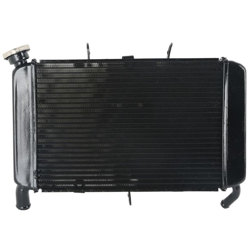 Xf-400 Motorcycle Radiator Cooler Cooling for YAMAHA Xj6 2009-2015