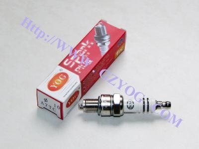 Motorcycle Accessory Spark Plug Bujia A7tc Nhj-D8tc Nhj-E6tc Nhj-A7tc Nhj-Cp7e