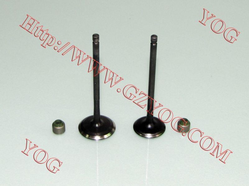 Motorcycle Engine Valve Kit Valvulas CB250 CB110 Wy125