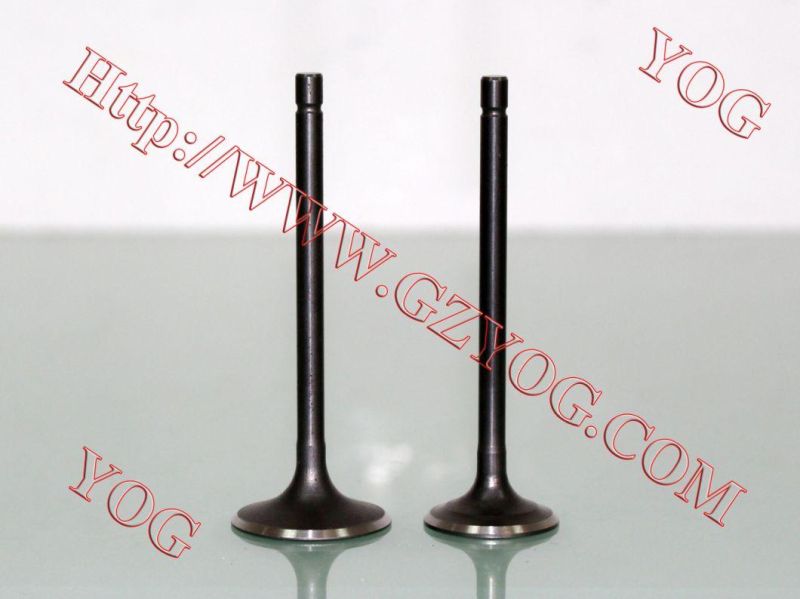 Motorcycle Spare Parts Aluminum Alloy Valve Set Ybr125 Fz16