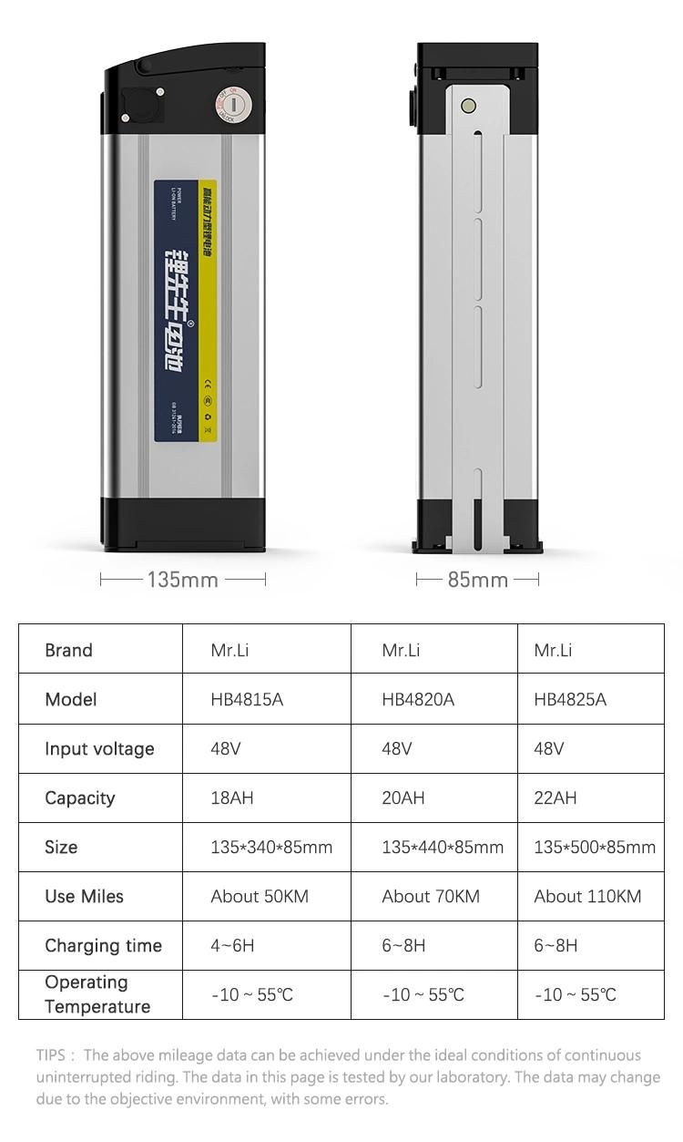 Motorcycle Lithium-Ion 48V 15ah Battery Pack Electric Vehicle Battery