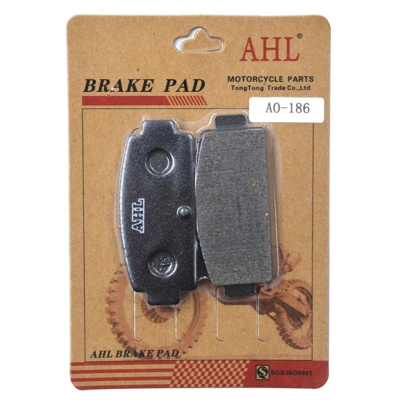 Fa651 Motorcycle Brake Pad for CF Moto CF500 CF600z CF800z