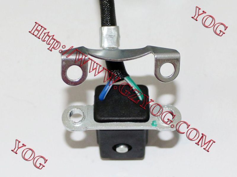 Motorcycle Spare Parts Stator Comp. for Cg150/200