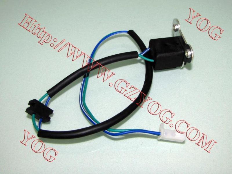 Yog Motorcycle Spare Parts Pulse Igniter (IGNITION PULSE/PULSER COIL) for Bajaj Boxer/Tvs Star/Cg-125/Lf150