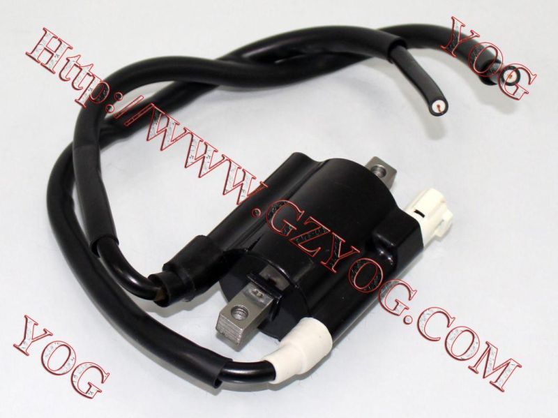 Motorcycle Spare Parts Motorcycle Electric Ignition Coil Gn125 GS125 Gy6125