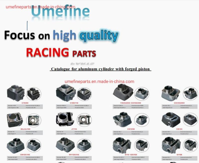 YAMAHA Motorcycle Spare Parts Motorcycle Cylinder Block for Ybr250 Xtz250 Ys250 Xt250 Fazer250 Lander250