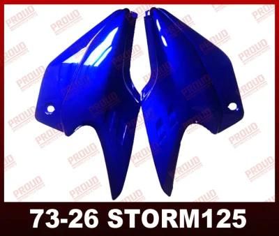 Storm125 Side Cover Motorcycle Side Cover Storm125 Motorcycle Spare Parts