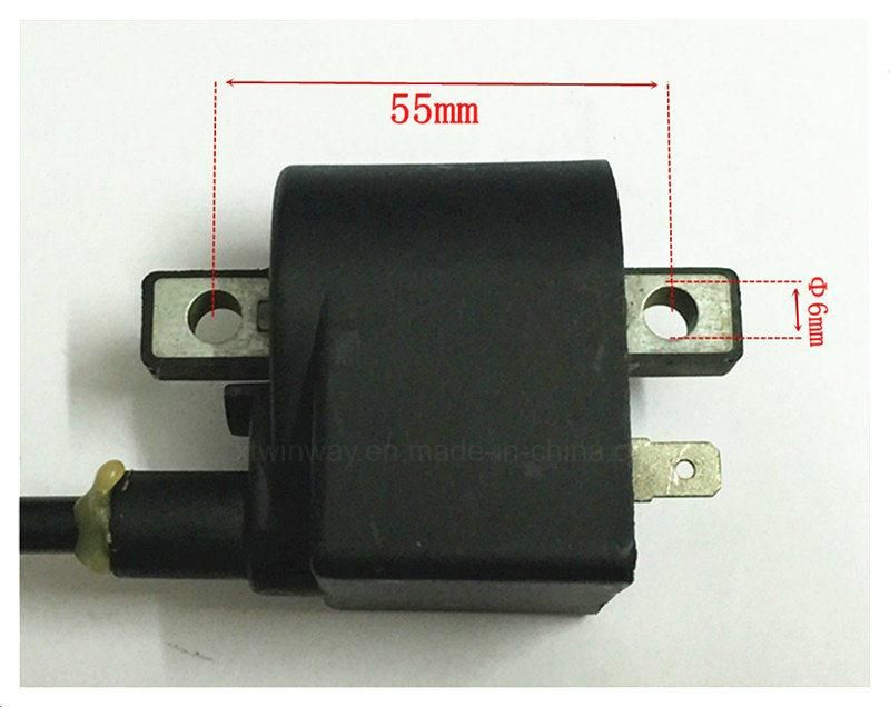 Ww-81136 Motorcycle Part Ignition Coil for Ax100