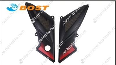 Motorcycle/Motorbike Spare Parts Side Cover for Pulsar 200ns