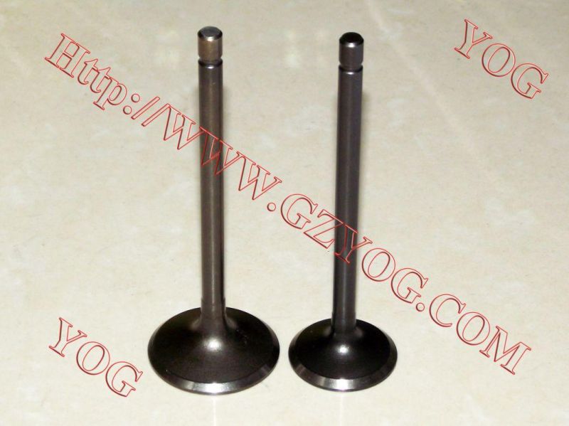 Motorcycle Spare Parts Aluminum Alloy Valve Set Ybr125 Fz16