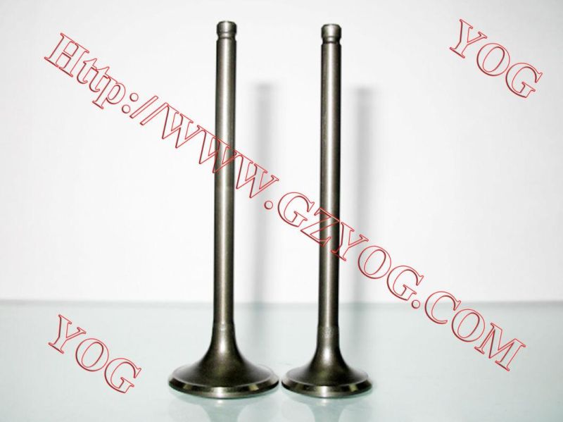 Motorcycle Engine Valve Kit Valvulas CB250 CB110 Wy125