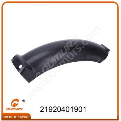 Motorcycleaccessory Rear Fender Rear Part for Bajaj Boxer CT100