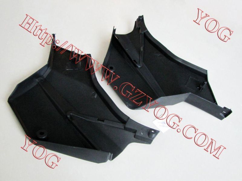 Motorcycle Spare Parts Oil Tank Fuel Tank Side Cover for Tx 200gy/Skr200