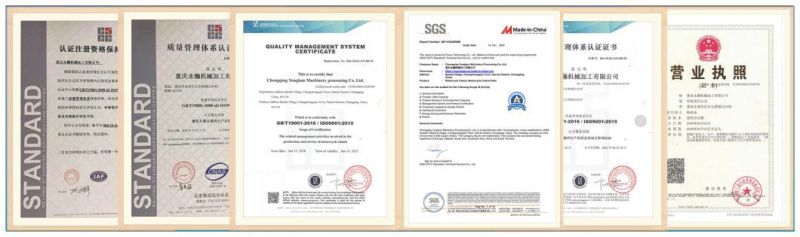 Chongqing Factory OEM Overrunning Clutch for Scooters (GY6-125)