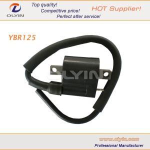 Motorcycle Electric Coil for Ybr125/Xtz125 Motorbike Parts