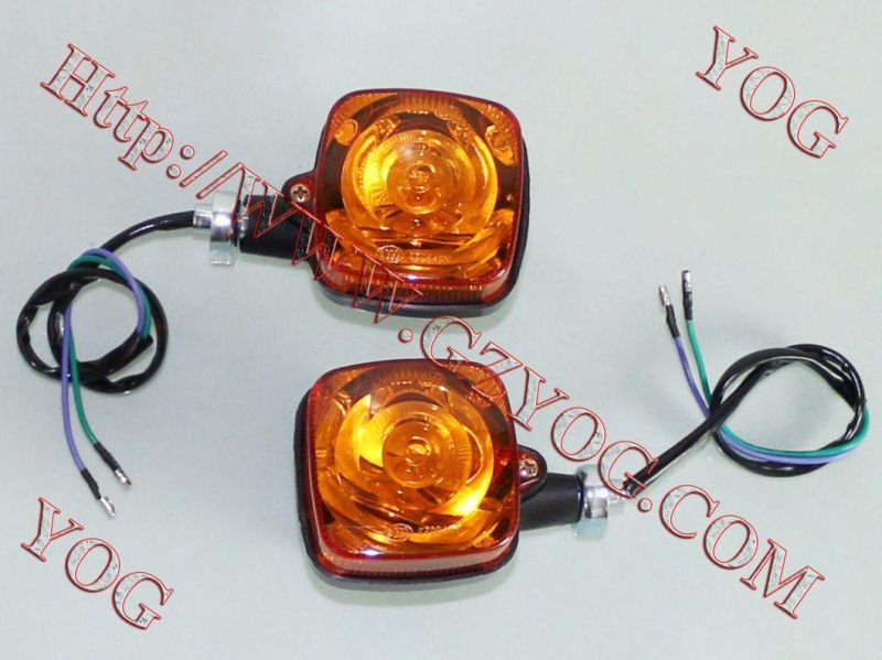Motorcycle Spare Parts Turning Light Winker Lamp Pathway Indicator Cgw125 Elegant Dt200