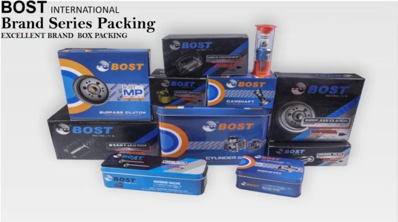 High Quality Motorcycle Cylinder Kit for Dayang Dy-100 Motorbikes