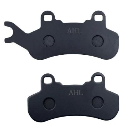 Motorcycle Parts Brake Pads for Can-Am Dps Xt 799cc 976cc