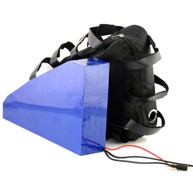 Waterproof Triangle Lithium Battery Ebike Akku 48V 20ah Electric Bike Battery for 1000W Motor