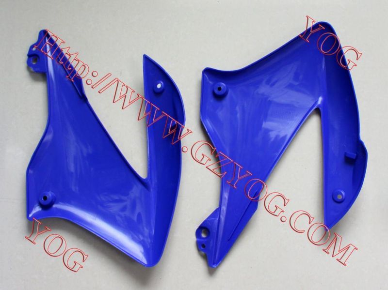 Motorcycle Spare Parts Oil Tank Fuel Tank Side Cover for Shineray 200/Skr200