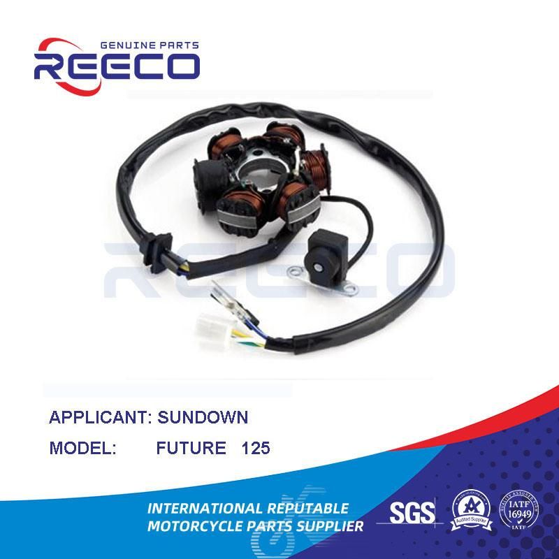 Reeco OE Quality Motorcycle Stator Coil for Sundown Future 125