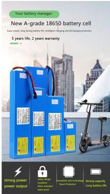 24V 36V 48V 60V 25ah 20ah 12ah 15ah 10ah Lithium-Ion Battery Pack for E-Scooter