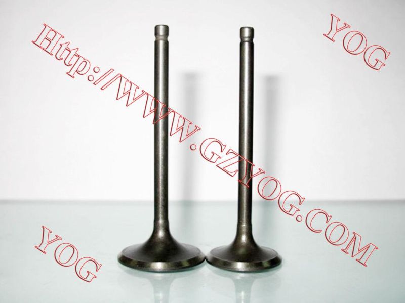 Yog Motorcycle Spare Parts Valve for C125 Titan02 Ugboss125