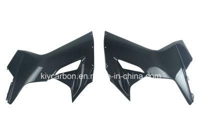 Carbon Fiber Motorcycle Part Side Panels for Mv Agusta F3