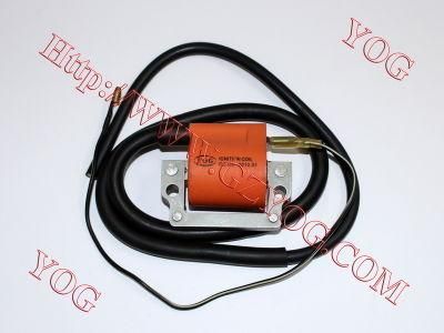 Yog Motorcycle Parts Motorcycle Ignition Coil for Yb100