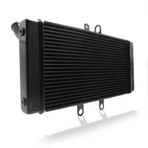 Frdsu020 Motorcycle Parts Aluminum Radiator for Suzuki