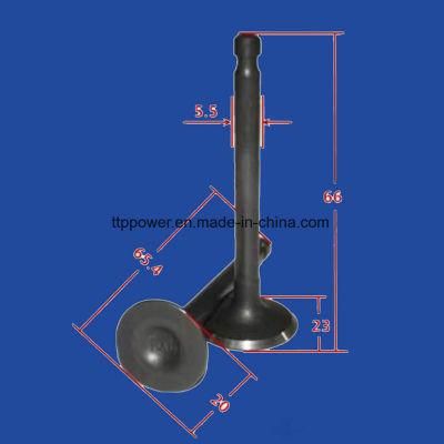 CD70/CD110 Motorcycle Engine Parts Motorcycle Valve Inlet/Exhaust Set
