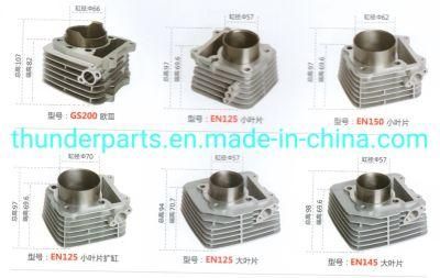 Motorcycle Cylinder Block Kit for GS200/En125/En150/En145/66mm/57mm/62mm/70mm