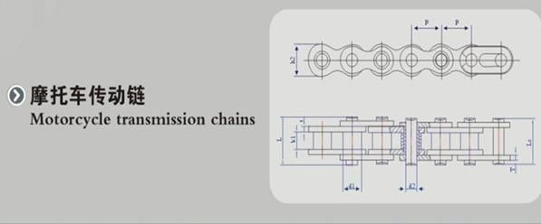 Motor Parts/Motor Kit with Chain and Sprocket (428)