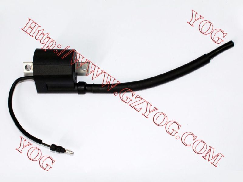 Motorcycle Spare Parts Motorcycle Electric Ignition Coil Gn125 GS125 Gy6125