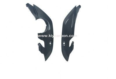 Motorcycle Part Carbon Rear Tail for BMW G650GS