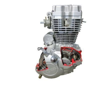Hot Sale 3D 150-B Motorcycle/Motorbike Engine