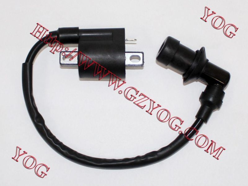 Yog Motorcycle Parts Motorcycle Ignition Coil for Yb100