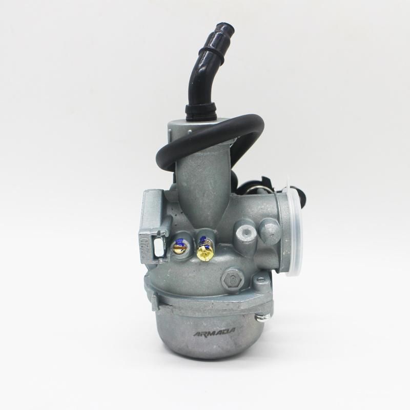 Motorcycle Engine Parts Motorcycle Carburetor for at-110